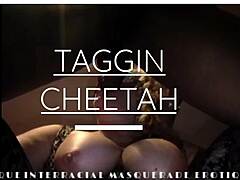 Sultry Taggin Cheetah in interracial passion